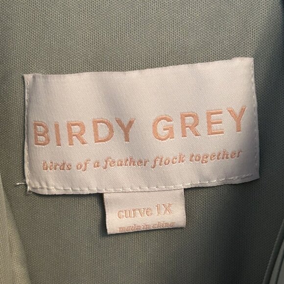 NWT Birdy Grey 1X Curve Elsye Bridesmaid Dress Mesh Sage Green Gown Wedding - Picture 8 of 13